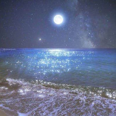 Tan Malaka avatar