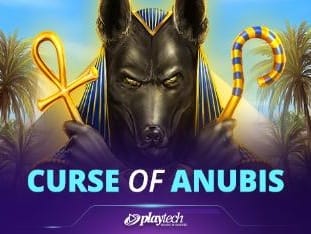 Curse Of Anubis™ icon