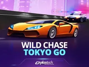 Wild Chase_ Tokyo Go icon